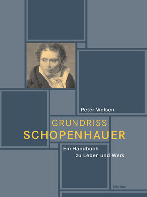 cover image of Grundriss Schopenhauer